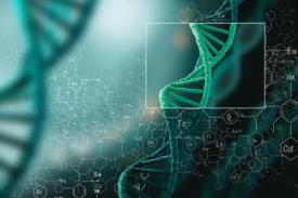 中国肿瘤检测市场时机研究项目