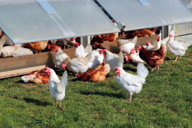 现代化规模唬；；；臣巴涝准庸は钅靠尚行匝芯勘ǜ