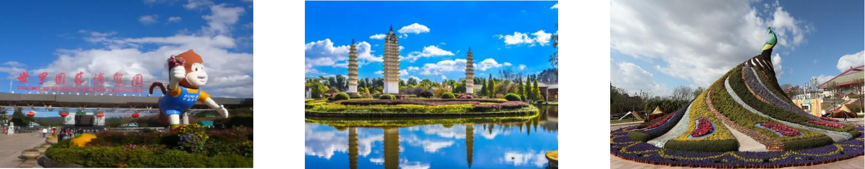 AG8亚洲国际游戏集团_首页官网