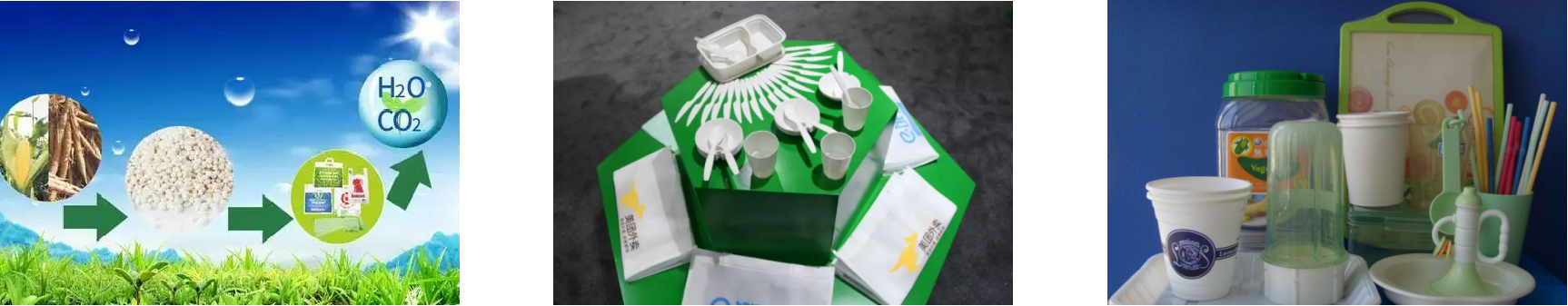 AG8亚洲国际游戏集团_首页官网