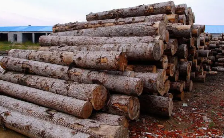 AG8亚洲国际游戏集团_首页官网