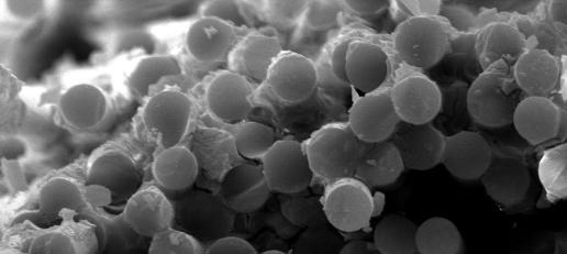 AG8亚洲国际游戏集团_首页官网