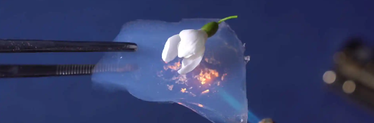 AG8亚洲国际游戏集团_首页官网