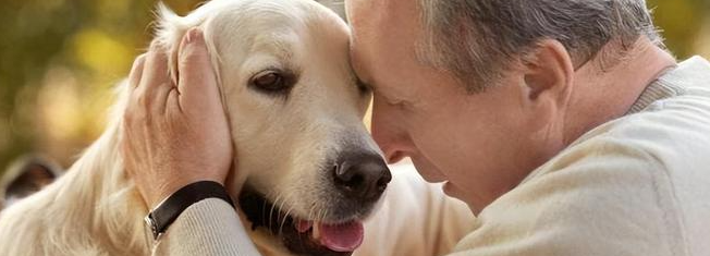 AG8亚洲国际游戏集团_首页官网