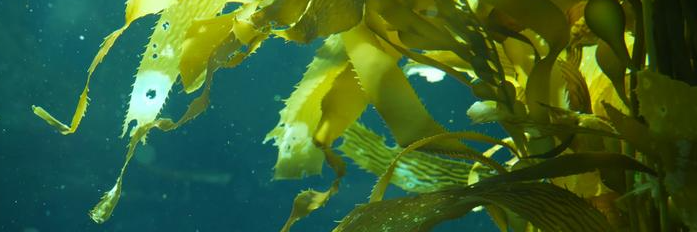 AG8亚洲国际游戏集团_首页官网