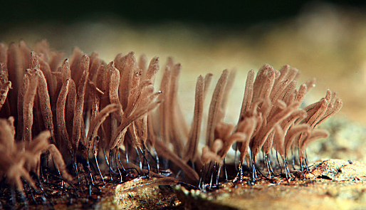 AG8亚洲国际游戏集团_首页官网