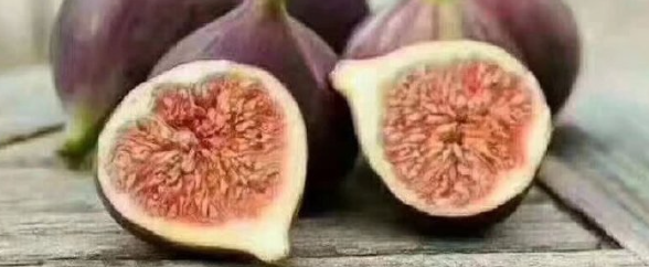 AG8亚洲国际游戏集团_首页官网