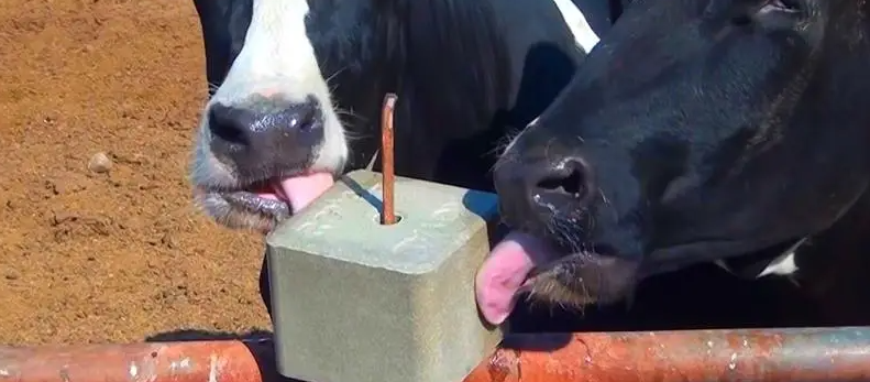 AG8亚洲国际游戏集团_首页官网