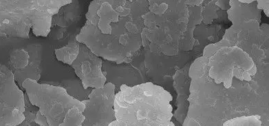 AG8亚洲国际游戏集团_首页官网