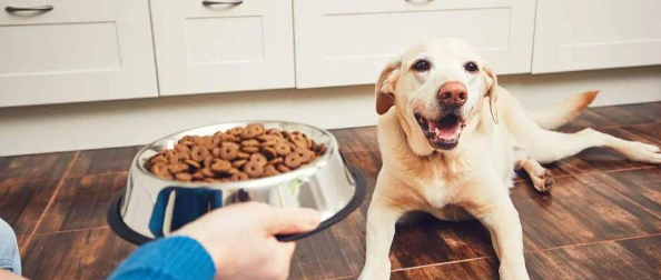 AG8亚洲国际游戏集团_首页官网