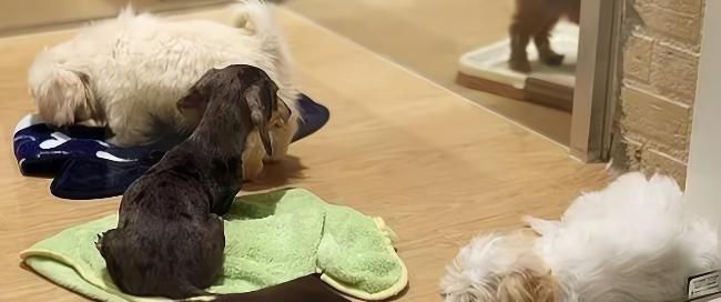 AG8亚洲国际游戏集团_首页官网