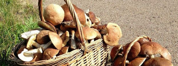 AG8亚洲国际游戏集团_首页官网