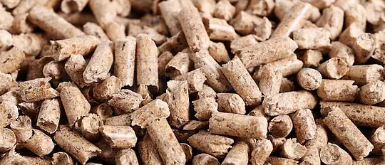 AG8亚洲国际游戏集团_首页官网