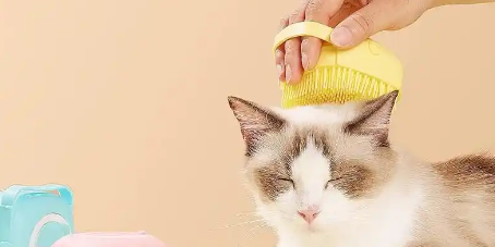 AG8亚洲国际游戏集团_首页官网