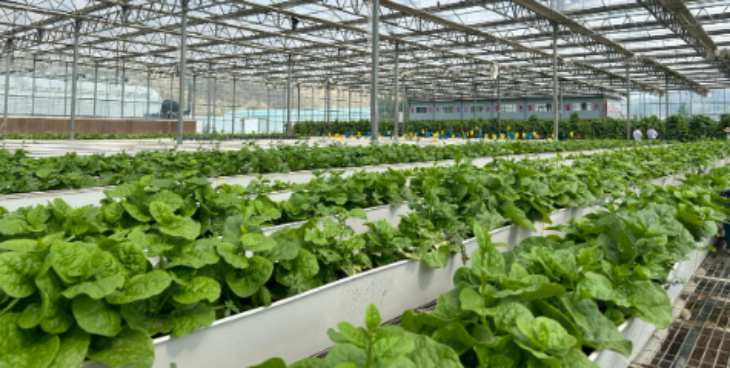 AG8亚洲国际游戏集团_首页官网