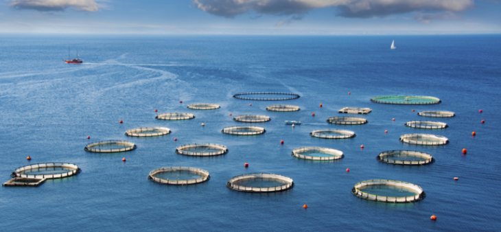 AG8亚洲国际游戏集团_首页官网