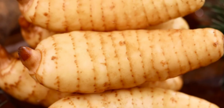 AG8亚洲国际游戏集团_首页官网