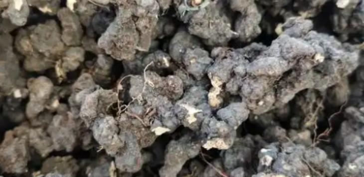 AG8亚洲国际游戏集团_首页官网