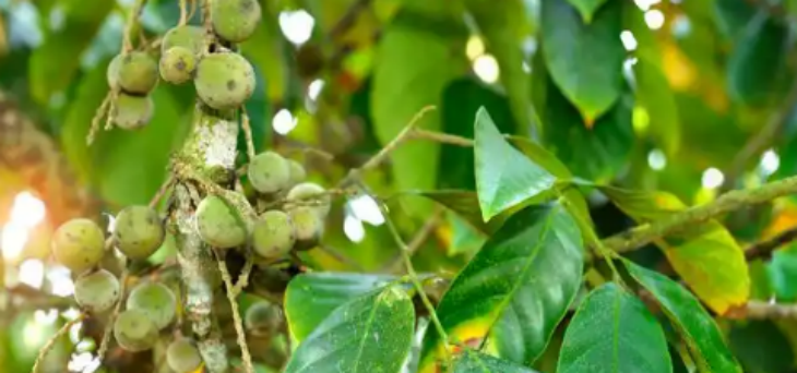 AG8亚洲国际游戏集团_首页官网