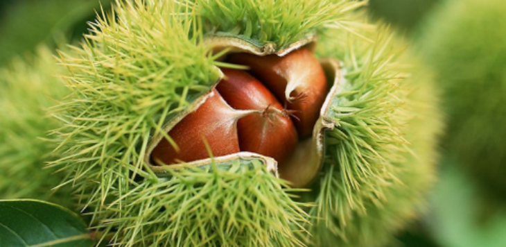 AG8亚洲国际游戏集团_首页官网