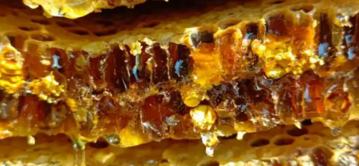 AG8亚洲国际游戏集团_首页官网