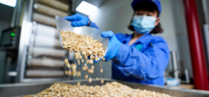 AG8亚洲国际游戏集团_首页官网