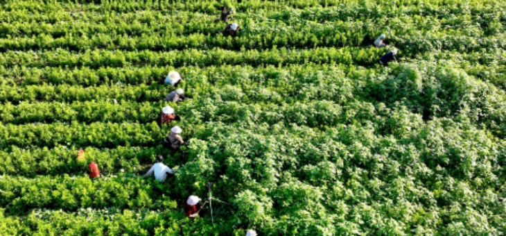 AG8亚洲国际游戏集团_首页官网