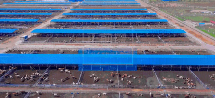 AG8亚洲国际游戏集团_首页官网