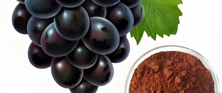 AG8亚洲国际游戏集团_首页官网