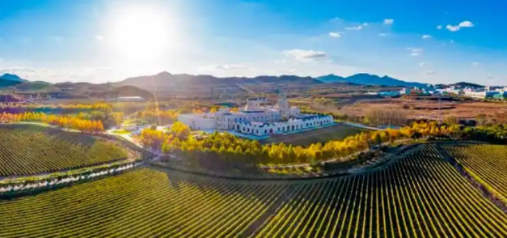 AG8亚洲国际游戏集团_首页官网