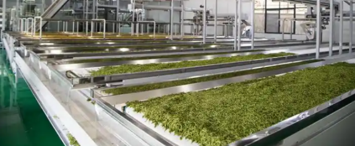 AG8亚洲国际游戏集团_首页官网