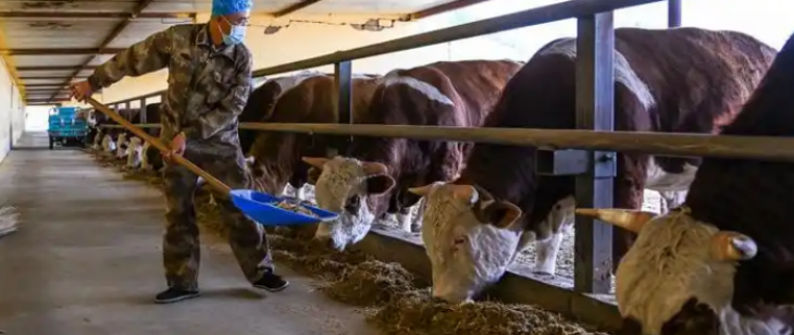 AG8亚洲国际游戏集团_首页官网