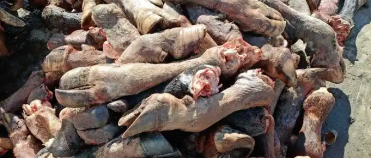 AG8亚洲国际游戏集团_首页官网