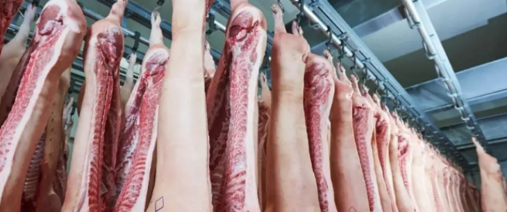 AG8亚洲国际游戏集团_首页官网