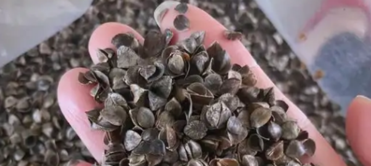 AG8亚洲国际游戏集团_首页官网