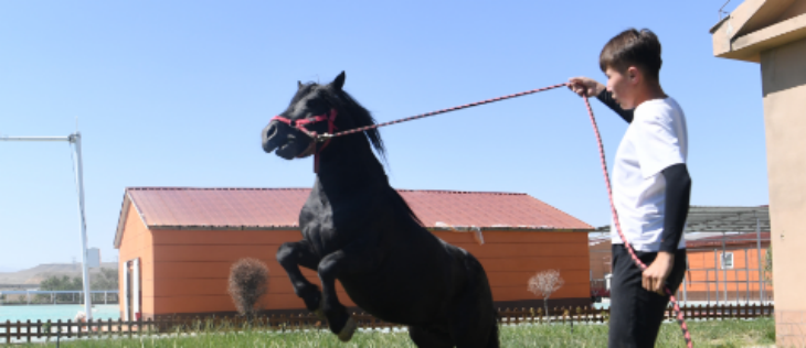 AG8亚洲国际游戏集团_首页官网