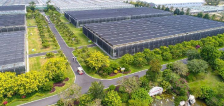 AG8亚洲国际游戏集团_首页官网