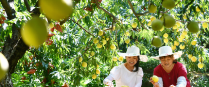 AG8亚洲国际游戏集团_首页官网