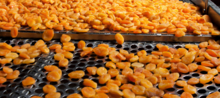 AG8亚洲国际游戏集团_首页官网