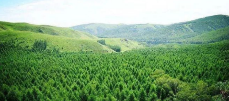 AG8亚洲国际游戏集团_首页官网