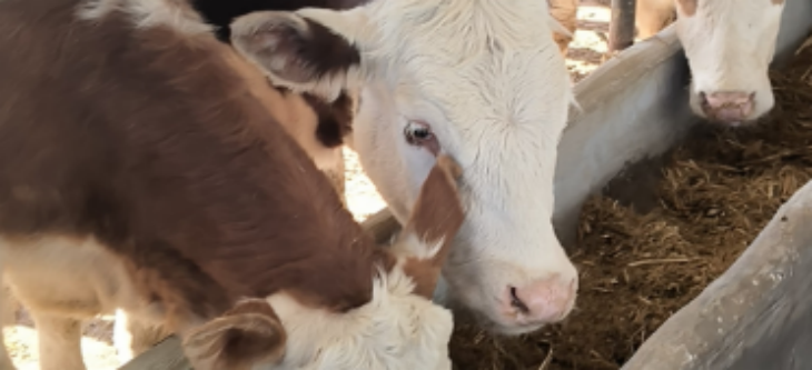 AG8亚洲国际游戏集团_首页官网