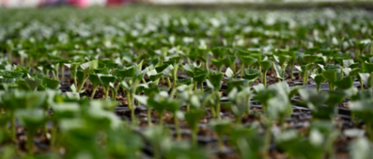 AG8亚洲国际游戏集团_首页官网