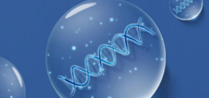 AG8亚洲国际游戏集团_首页官网